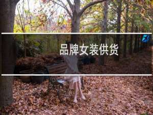 品牌女装供货