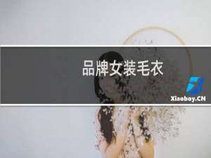 品牌女装毛衣