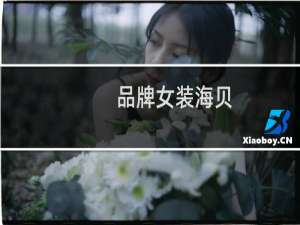 品牌女装海贝