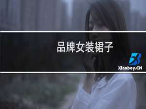 品牌女装裙子