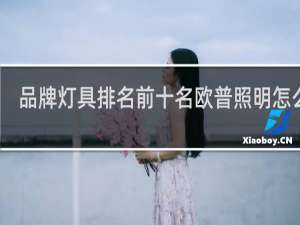 品牌灯具排名前十名欧普照明怎么样