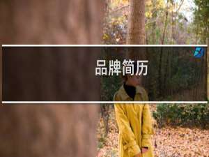 品牌简历