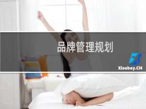 品牌管理规划