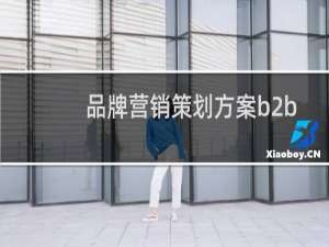 品牌营销策划方案b2b