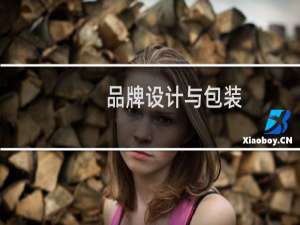 品牌设计与包装