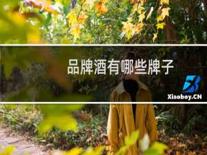 品牌酒有哪些牌子