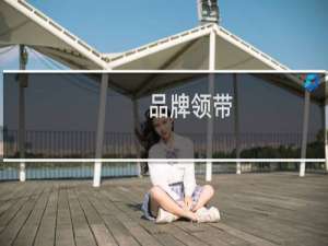 品牌领带
