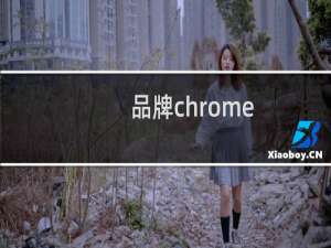 品牌chrome