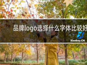 品牌logo选择什么字体比较好