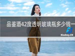品鉴酒42度透明玻璃瓶多少钱一瓶