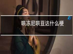 哄冻尼哄豆达什么梗