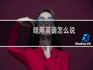 哇用英语怎么说