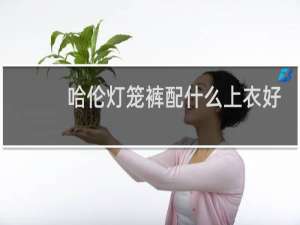 哈伦灯笼裤配什么上衣好看
