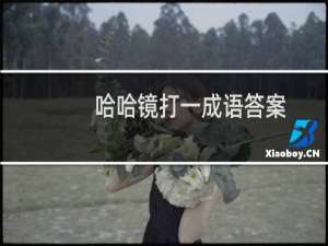 哈哈镜打一成语答案（哈哈镜打一成语）
