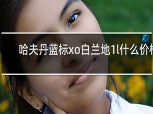 哈夫丹蓝标xo白兰地1l什么价格