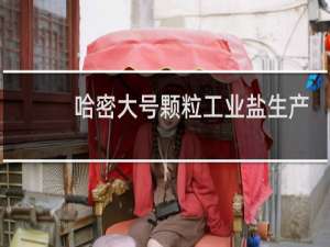 哈密大号颗粒工业盐生产厂家