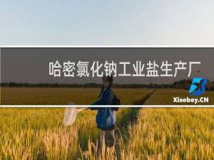 哈密氯化钠工业盐生产厂家
