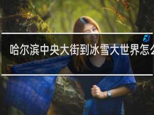 哈尔滨中央大街到冰雪大世界怎么走