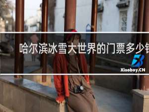 哈尔滨冰雪大世界的门票多少钱