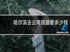 哈尔滨去云南旅游要多少钱