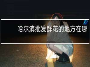 哈尔滨批发鲜花的地方在哪
