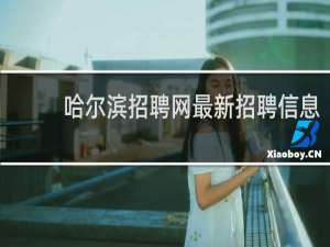 哈尔滨招聘网最新招聘信息