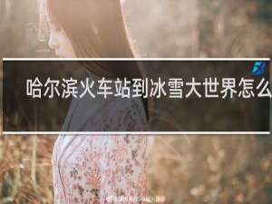 哈尔滨火车站到冰雪大世界怎么走