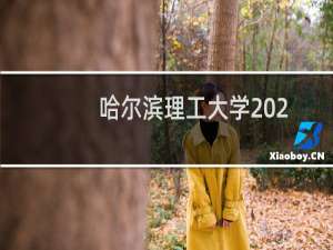 哈尔滨理工大学2024-2025多少人被国家电网录取 2025年一批146人
