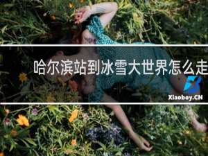 哈尔滨站到冰雪大世界怎么走