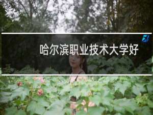 哈尔滨职业技术大学好不好 最新排名第几 2025全国第33位(校友会版)