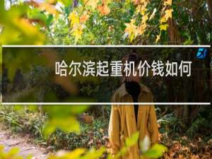 哈尔滨起重机价钱如何