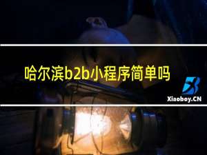 哈尔滨b2b小程序简单吗