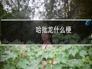 哈批龙什么梗
