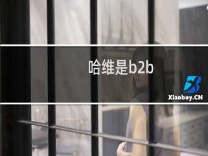 哈维是b2b