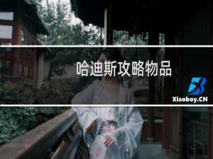 哈迪斯攻略物品