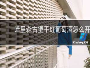 哈里森古堡干红葡萄酒怎么开