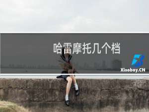 哈雷摩托几个档