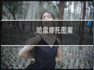 哈雷摩托图案