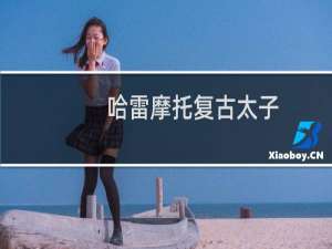 哈雷摩托复古太子