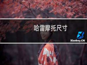 哈雷摩托尺寸