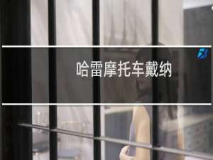 哈雷摩托车戴纳