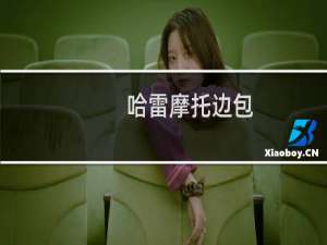 哈雷摩托边包