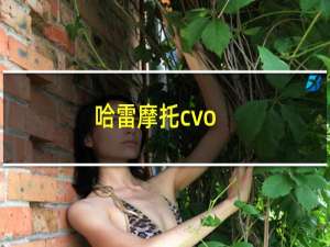 哈雷摩托cvo