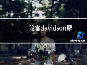 哈雷davidson摩托车