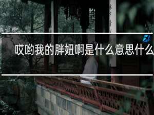 哎哟我的胖妞啊是什么意思什么梗
