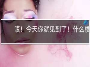 哎！今天你就见到了！什么梗