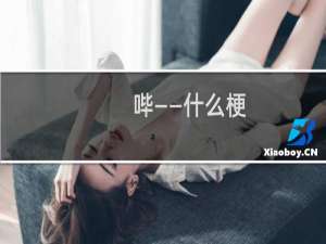 哔——什么梗