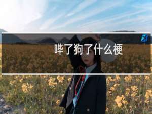 哔了狗了什么梗？什么梗