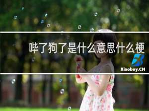 哔了狗了是什么意思什么梗