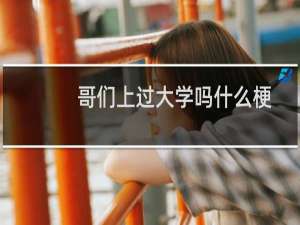 哥们上过大学吗什么梗？什么梗
